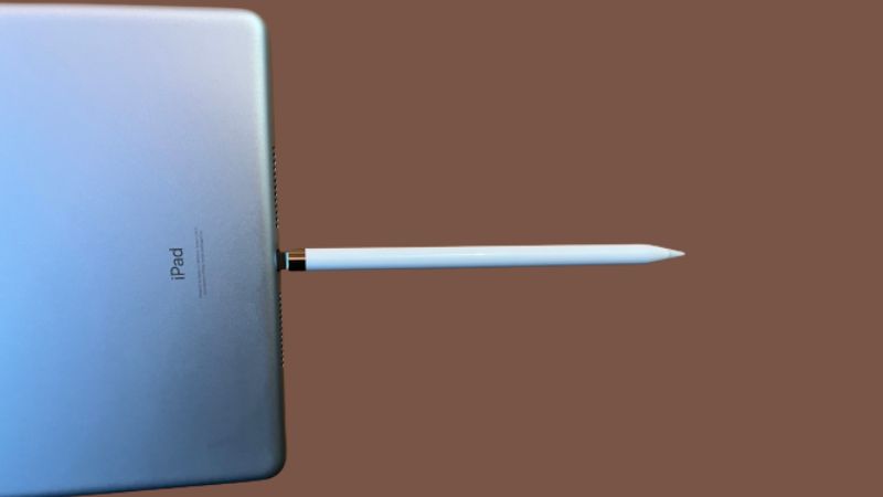 Apple Pencil Plugged in iPad