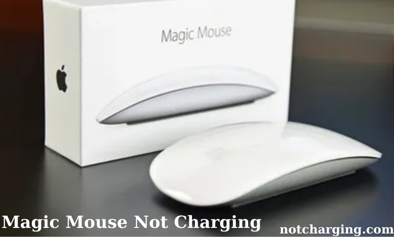 Magic Mouse Not Charging